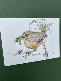 Image 6 of Dreoilín - Study