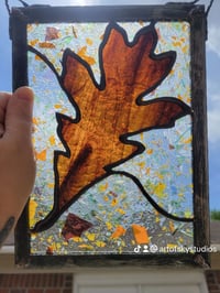 Image of Oak Leaf