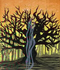 Image 3 of Major Oak Wassail 