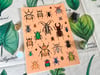 North American Beetles Sticker Sheet