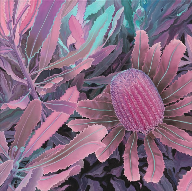 Radiant Banksia Menziesii Fine Art Print