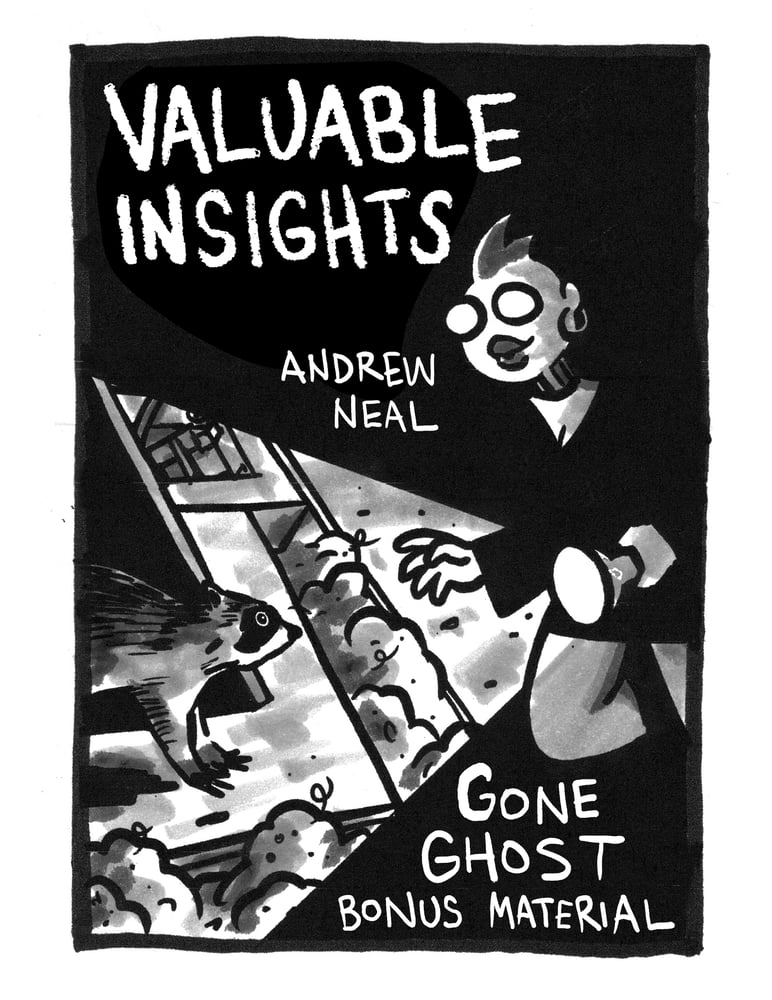 Image of Valuable Insights (Making of zine for Gone Ghost)