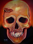 Image 1 of "Moth's Light"