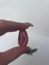 Rhodochrosite Teardrop A