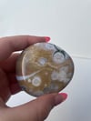 8th Vein Ocean Jasper Palmstone 45A