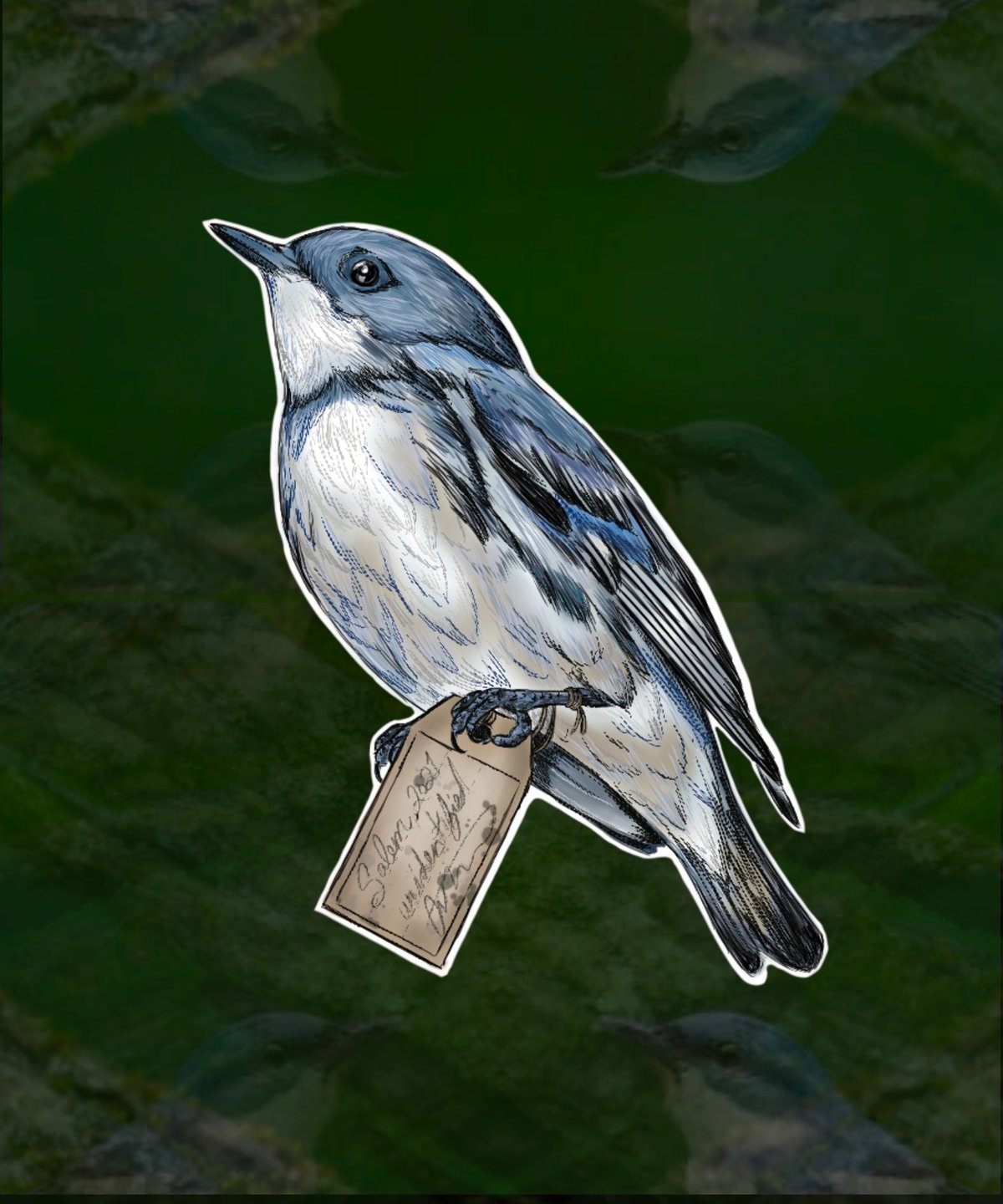 Image of Bird Specimen Sticker