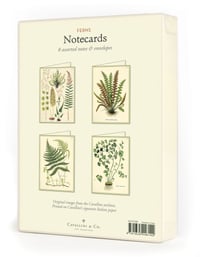 Image 2 of Cavallini & Co. Ferns Boxed Notecards, Assorted