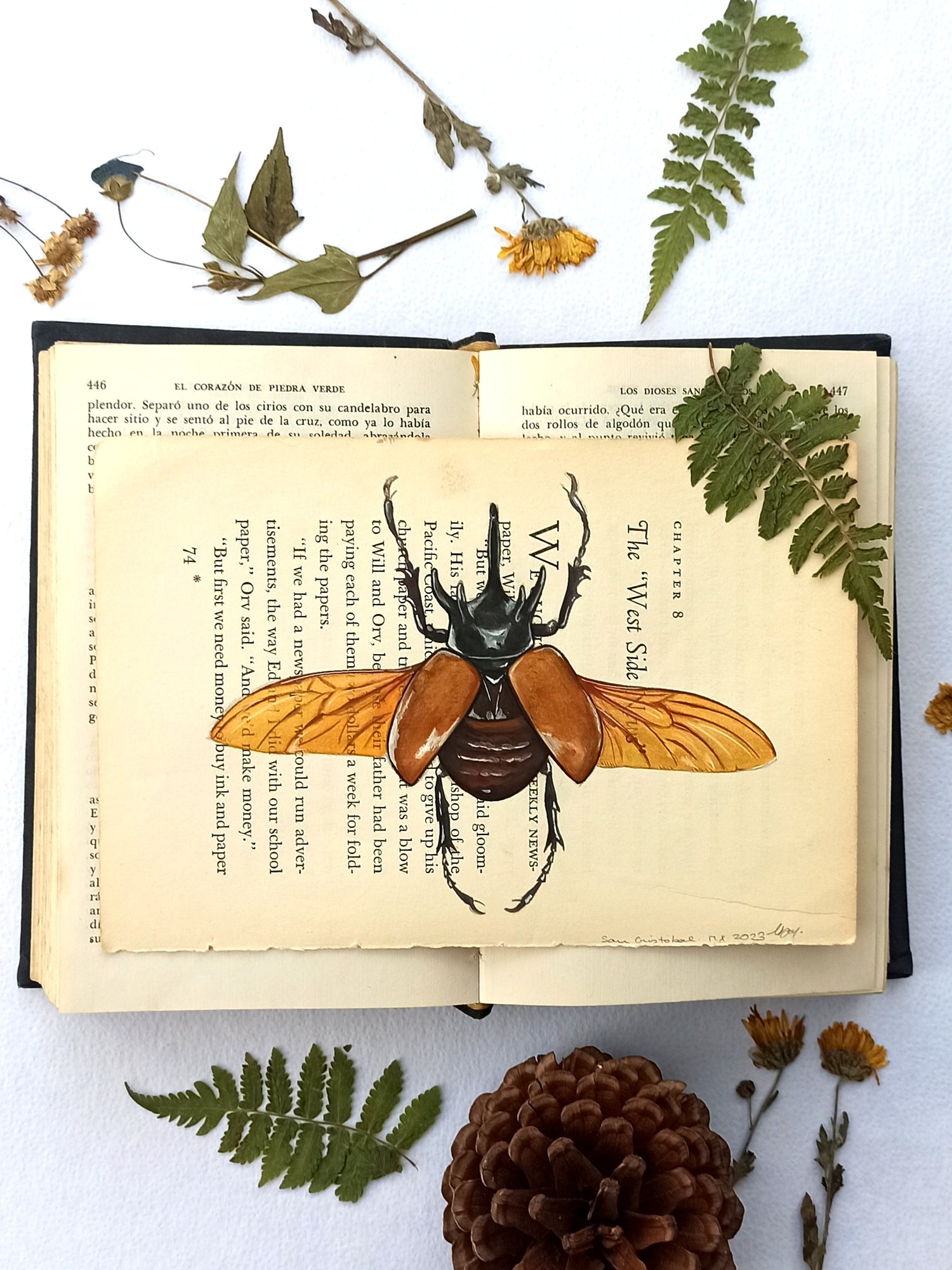 Image of Life in Old Pages Insect n. 7 Golden Rhino Beetle 