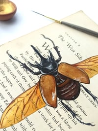 Image 2 of Life in Old Pages Insect n. 7 Golden Rhino Beetle 