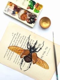 Image 4 of Life in Old Pages Insect n. 7 Golden Rhino Beetle 