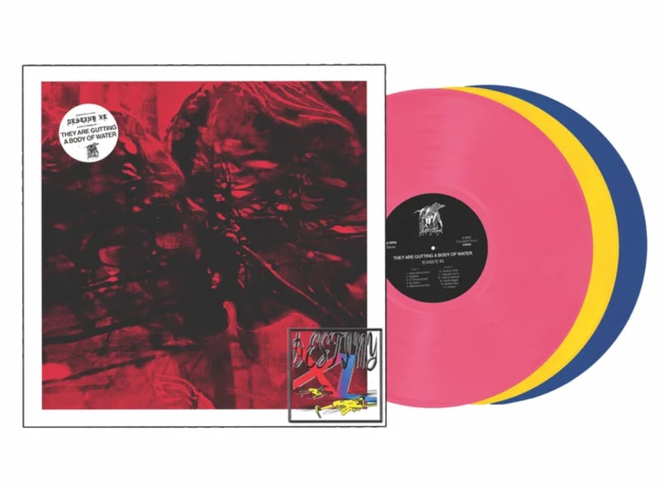 DESTINY XL second press vinyl | TAGABOW