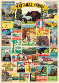 Cavallini & Co. National Parks Poster, Archival Paper, Matte