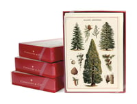Image 1 of Cavallini & Co. Christmas Trees Boxed Notes