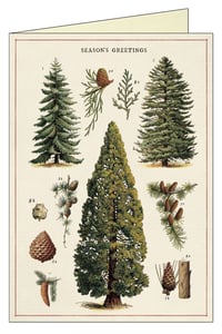 Image 2 of Cavallini & Co. Christmas Trees Boxed Notes