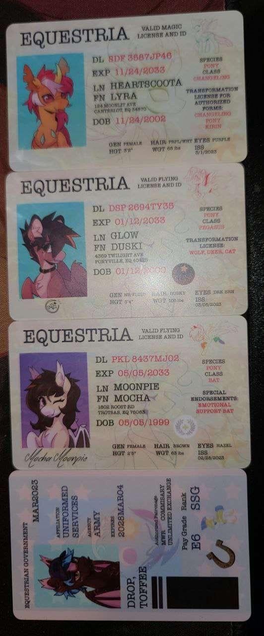 Custom Printed ID card