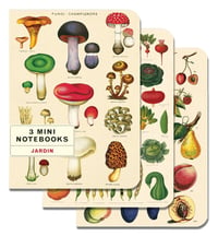 Image 1 of Cavallini & Co. Jardin Mini Notebook Set