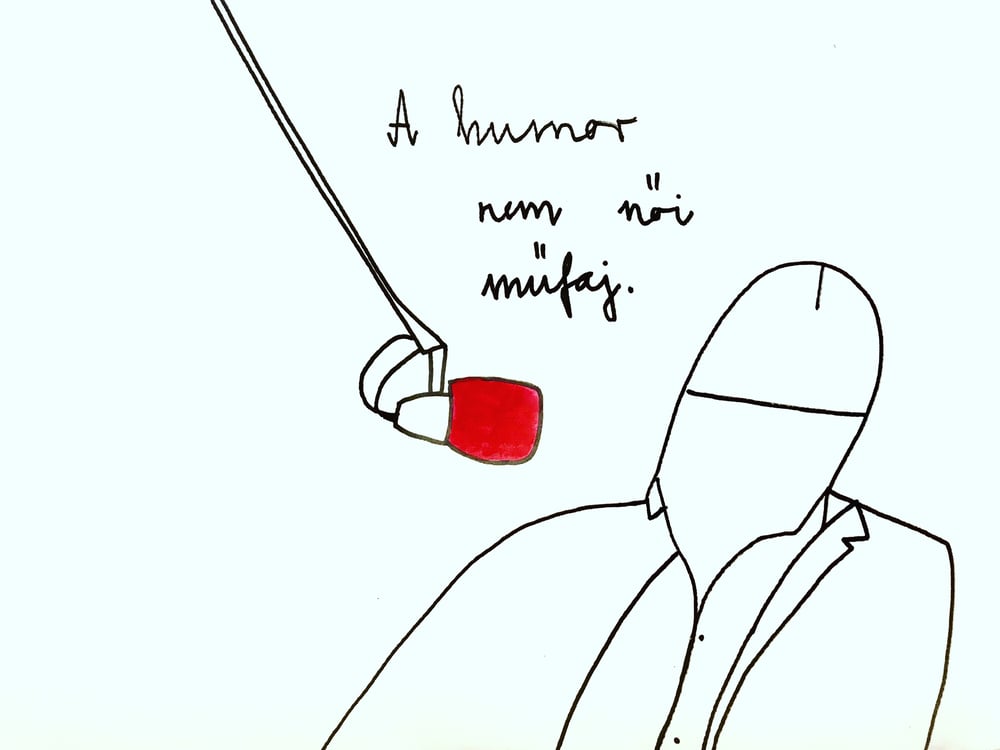 Image of Anyádrajzol: A humor nem női műfaj