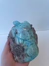 Larimar Turtle B