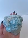 Larimar Turtle D