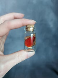 Butterly Wing Curio Bottle