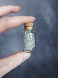 Snake Shed Curio Bottle