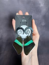 Peacock Swallowtail Earrings (fore wing)