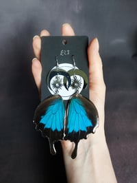 Blue Emperor Earrings (rear wing)