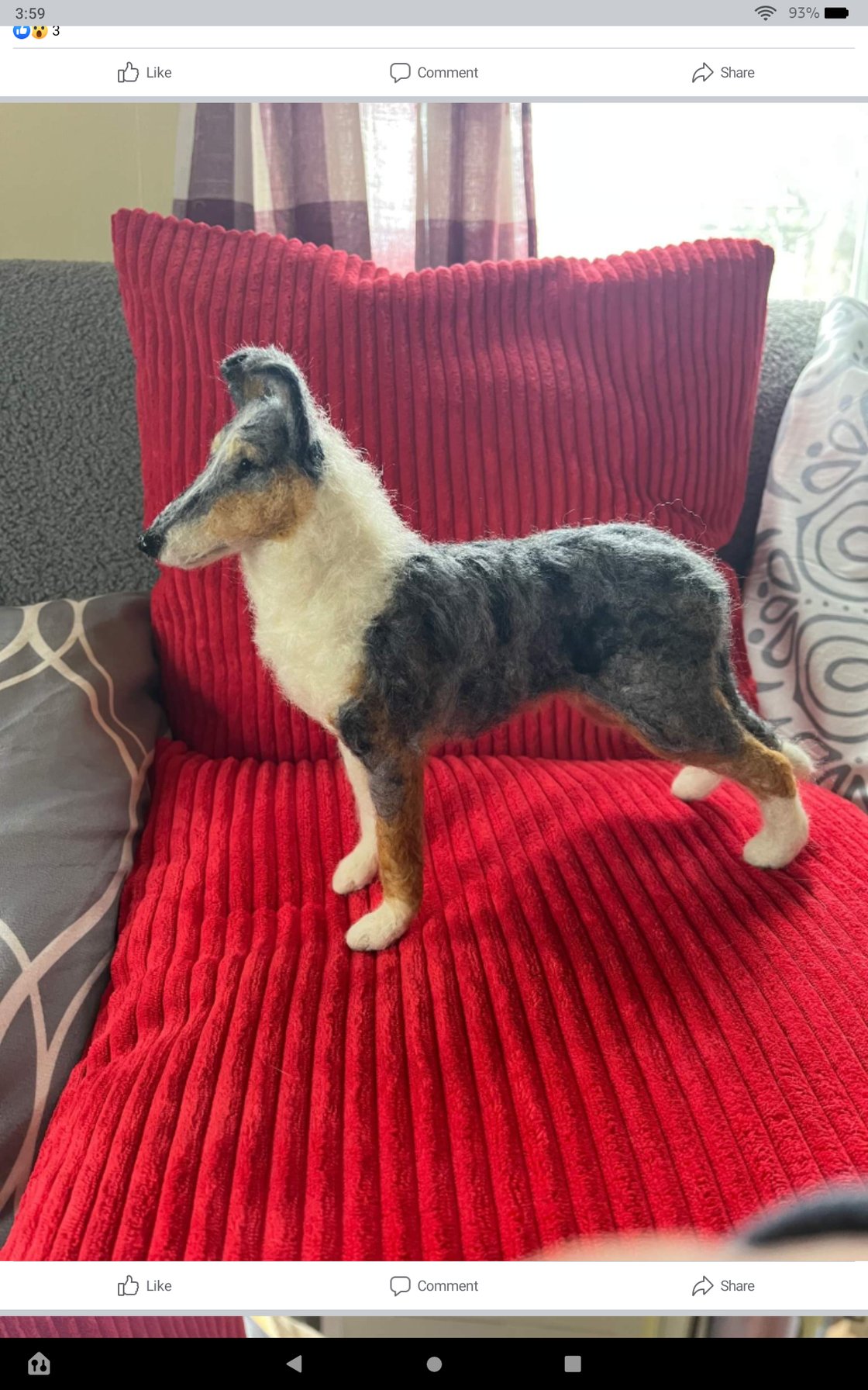 Image of 9" smooth collie ( any color)