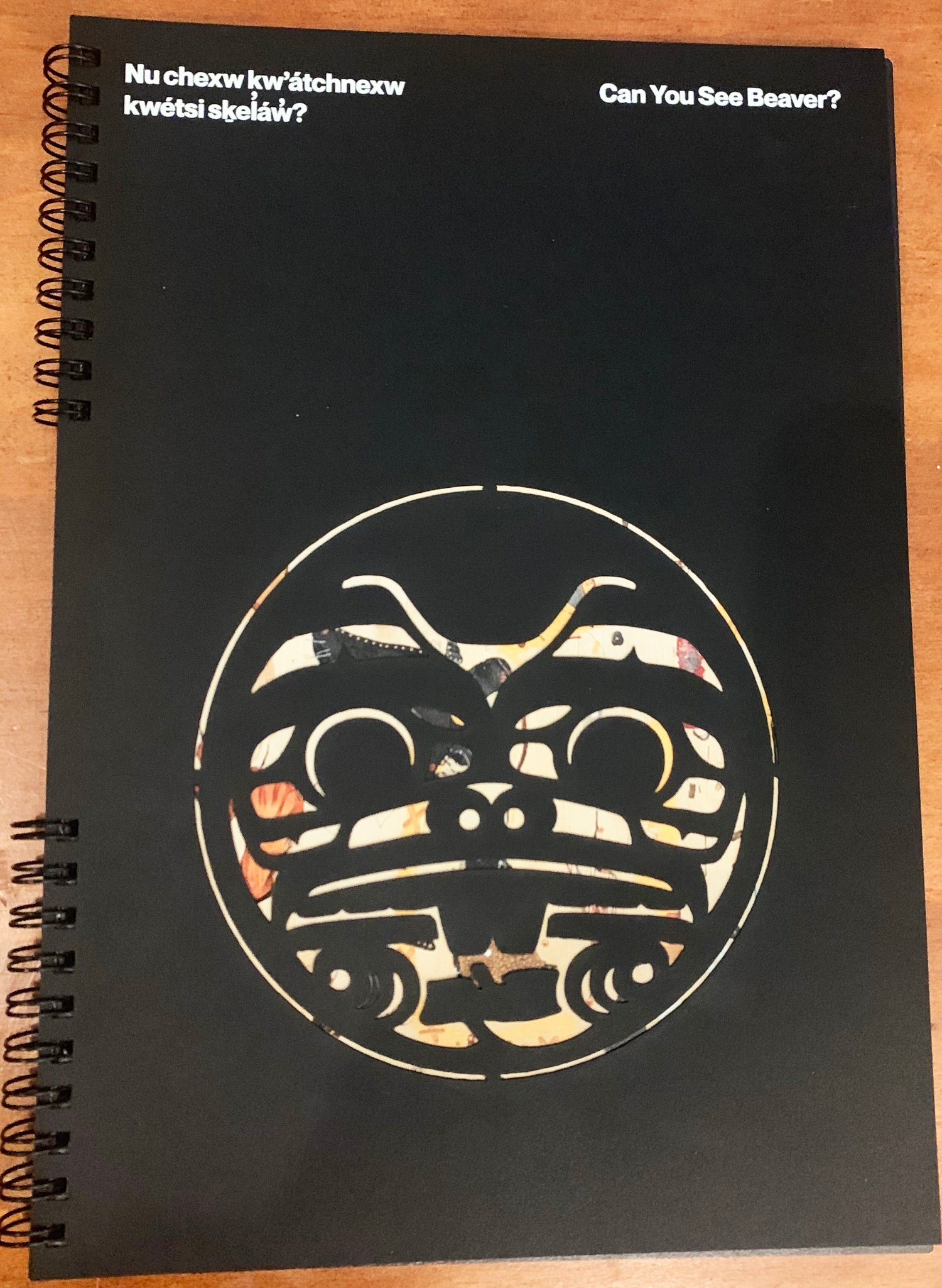 Image of Nu chexw kw’átchnexw kwétsi sḵel̓áw̓?// Can you See Beaver?