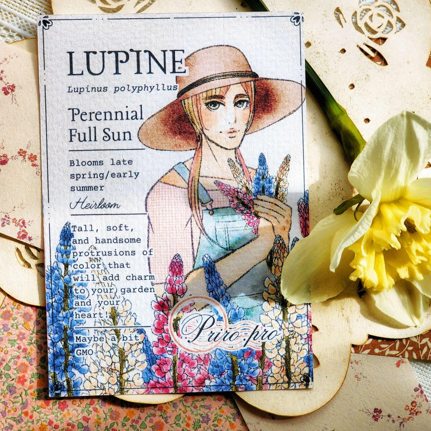 Lupine Seed Packet Mini Postcard