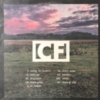 Image 2 of Crow Feeder