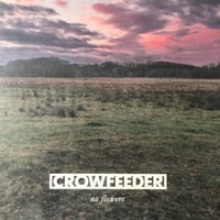 Image 1 of Crow Feeder