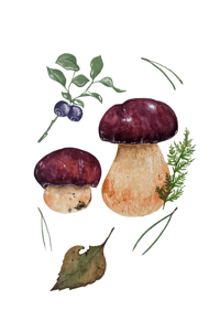 Image 5 of Boletus Mushroom LIMITED EDITION PRINTS