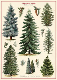 Cavallini & Co. Christmas Trees Poster, Archival Paper, Matte