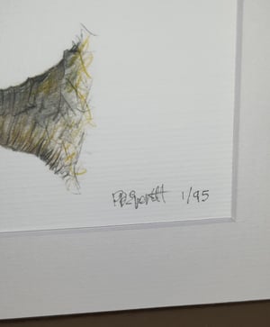Image of Finch Art Print 