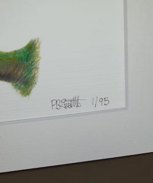 Image of Kingfisher Art Print