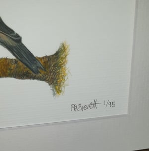 Image of Gold Finch Art Print