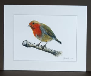 Image of Robin Art Print