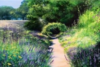 Heather Howe "Lavender Walk"