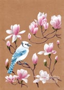 Peinture Originale - Geai bleu & Magnolia