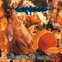 Image 1 of Carcass " Symphonies of Sickness " Banner / Flag / Tapestry 