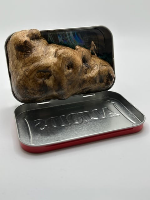 Big Foot Heading up the Mountain