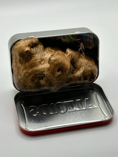 Big Foot Heading up the Mountain