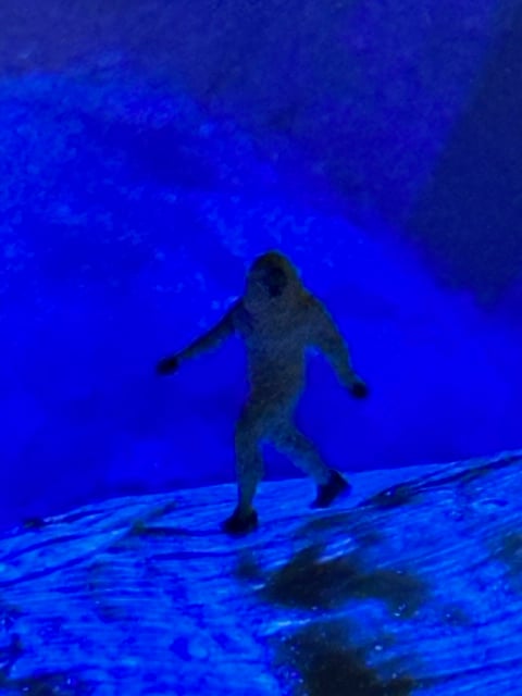 Yeti On A Glacier At Night