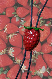 Strawbolo