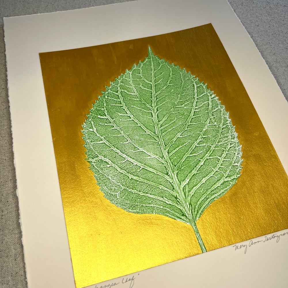 Image of SALE Hydrangea Leaf - One of a Kind Botanical Print