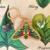 Pacific Green Sphinx Moth Wooden Keychain