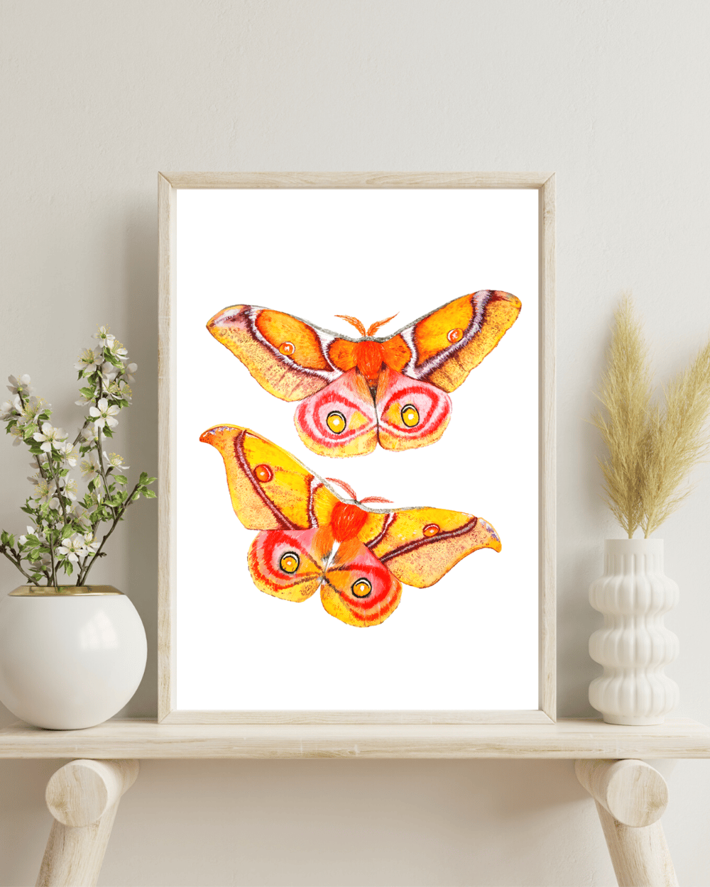 Image of Antherina suraka Moth Watercolor Illustration PRINT 