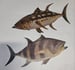 Image of 3 fish Stickers pack