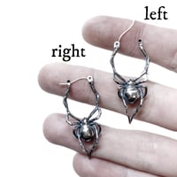 Image 2 of Latrodectus earrings in sterling silver or gold